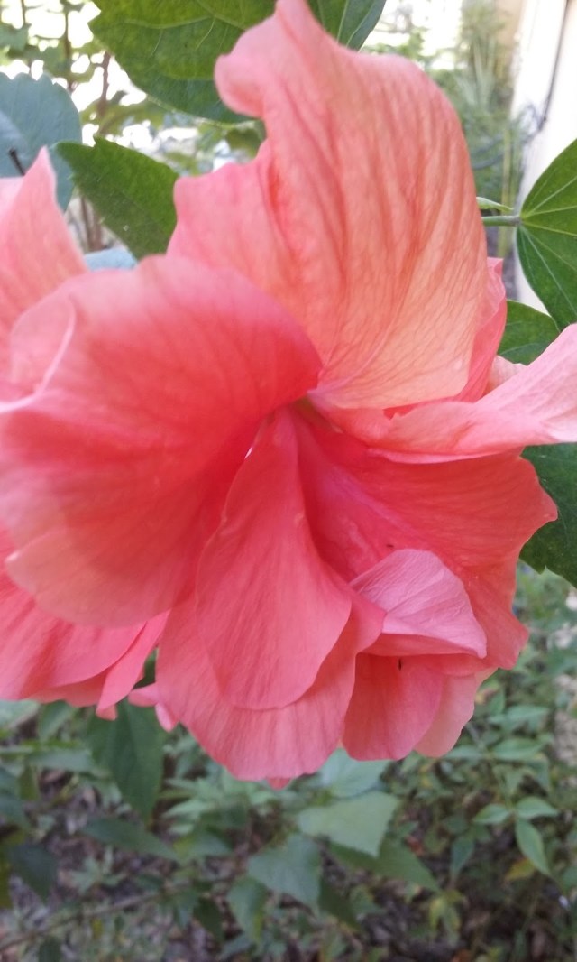 06fe1-20160911_111421