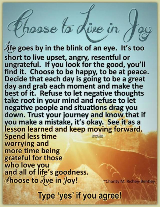 16388299_1457151107650955_7006185541275387792_n