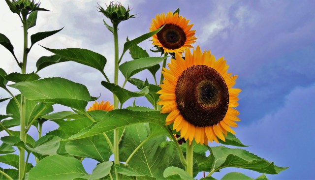 Featured Image -- 2107