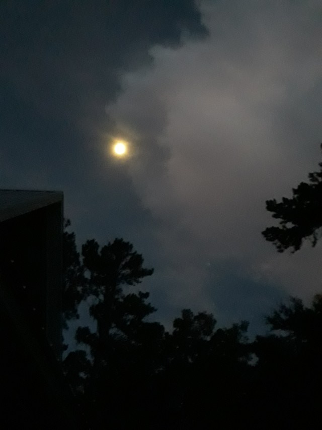 20200807_062136 - Copy