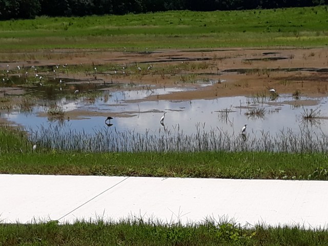 20200809_132415 - Copy